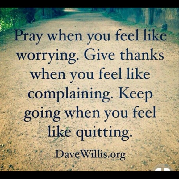 Meet your Posher, Genevieve - Picture 12 of 15